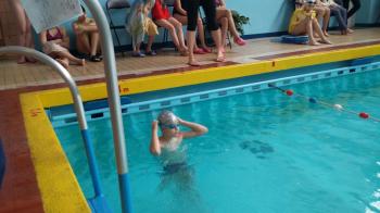 ddb1ef-img_20170518_wa0036.jpg 