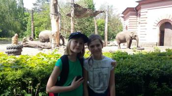 126fff-img_20170518_wa0252.jpg 