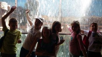 42e2af-img_20170518_wa0251.jpg 