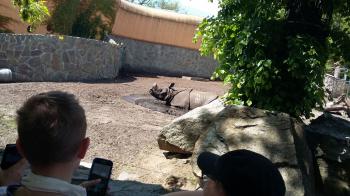 81ac38-img_20170518_wa0259.jpg 