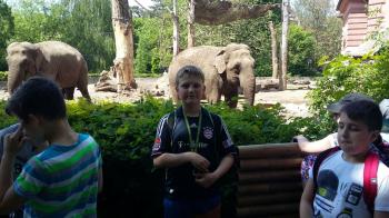 8685e9-img_20170518_wa0242.jpg 