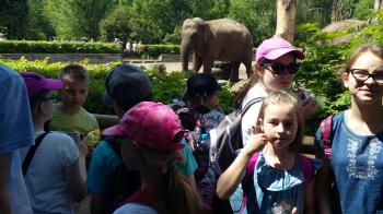 e3a5ca-img_20170518_wa0256.jpg 