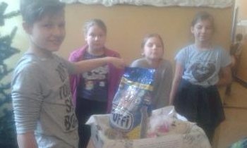 ca83fe-20171130_114306.jpg 