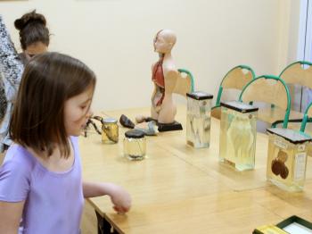 474954-img_0514.jpg 