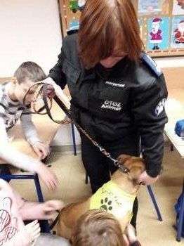 fba6c5-20181220_120231.jpg 