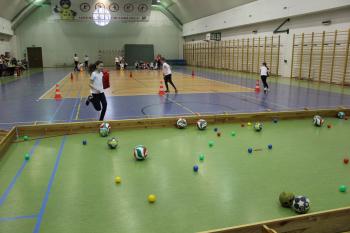 2828e5-img_2146.jpg 