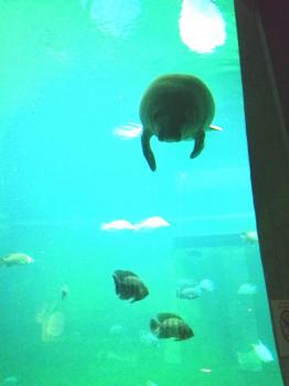 183440-img_20190523_165302.jpg 