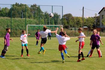 8976ec-img_2743.jpg 