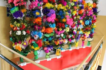 72701d-img_4752.jpg 