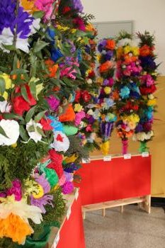 8d0b0f-img_4756.jpg 