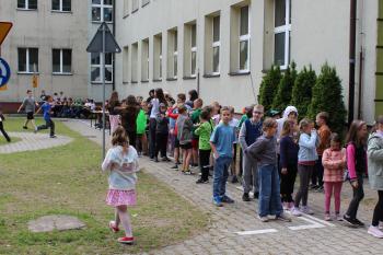 cbbc6f-img_4877.jpg 