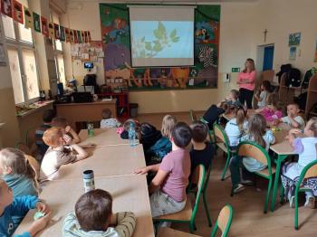 91cc44-whatsapp_image_2025_09_29_at_16.19.44_4.jpeg 
