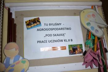 767750-p1060649.jpg 