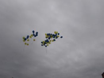 IMG_9864.jpg 