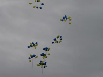 IMG_9866.jpg 