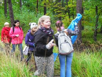 SDC13517.jpg 