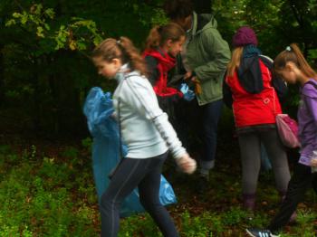 SDC13521.jpg 
